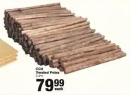 Build It CCA Treated Poles offer