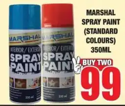 Boxer Build MARSHAL SPRAY PAINT (STANDARD COLOURS) offer