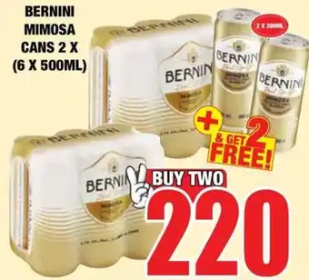 Bernini Mimosa