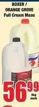 Boxer Boxer - full cream maas offer