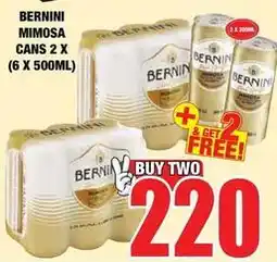 Boxer Bernini - mimosa cans offer
