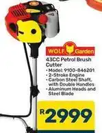 Pick n Pay Hypermarket 43cc petrol brush cutter - model: 9100-846201 offer