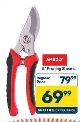 Pick n Pay Hypermarket 8 pruning shears offer