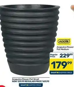Pick n Pay Hypermarket Addis - acapulco flower pot offer