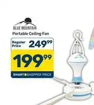 Pick n Pay Hypermarket Portable ceiling fan offer