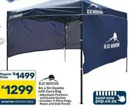 Pick n Pay Hypermarket 3m x 3m gazebo with carry bag offer
