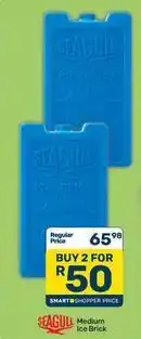 Pick n Pay Medium ice brick offer
