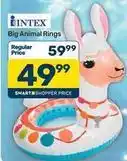 Pick n Pay Intex - big animal rings offer