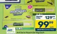Pick n Pay Ant gel or roach gel offer