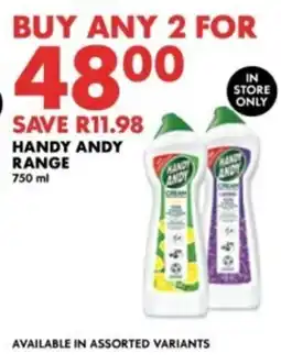 Woolworths Handy Andy Range offer