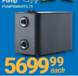 Mica Pump PUMPSMART0.75 offer