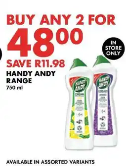 Woolworths Handy Andy Range offer
