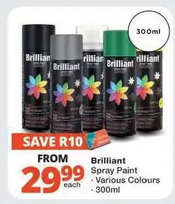 Checkers Brilliant Spray Paint offer