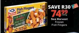 Checkers Sea Harvest Frozen Fish Fingers offer