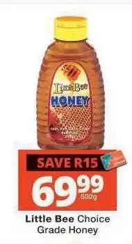 Checkers LITTLE BEE CHOICE GRADE HONEY offer