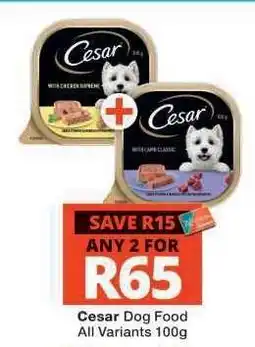 Checkers Cesar Dog Food offer