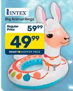 Pick n Pay Intex Big Animal Rings offer