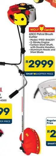 Pick n Pay Hypermarket 43CC Petrol Brush Cutter offer