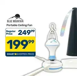 Pick n Pay Hypermarket Blue Mountain Portable Ceiling Fan offer