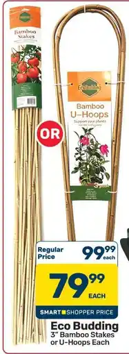 Pick n Pay Hypermarket Eco Budding offer