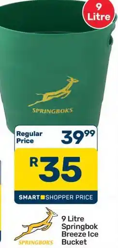 Pick n Pay Hypermarket 9 Litre Springbok Breeze Ice Bucket offer