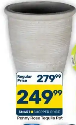 Pick n Pay Penny Rose Tequila Pot offer