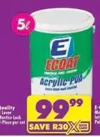 Shoprite Acrylic pva offer
