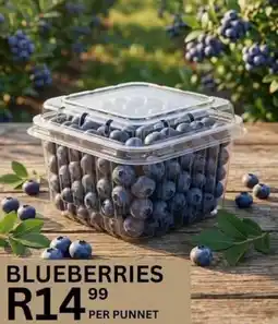 Take 'n Pay Blueberries offer