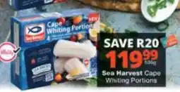 Checkers Sea Harvest Cape Whiting Portions offer