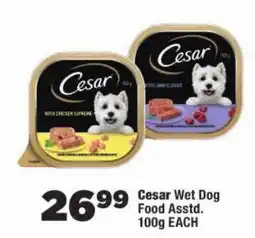 OK Foods Cesar Wet Dog Food Asstd. offer