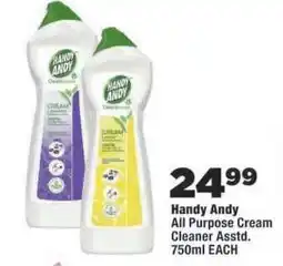 OK Foods HANDY ANDY offer