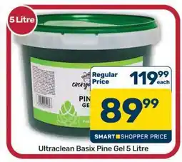 Pick n Pay Hypermarket Ultraclean Basix Pine Gel 5 Litre offer