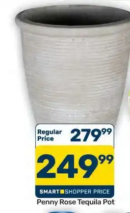 Pick n Pay Hypermarket Penny Rose Tequila Pot offer