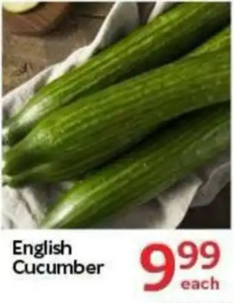 English Cucumber