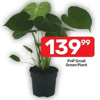 PnP Small Green Plant