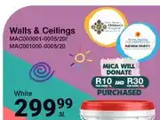 Mica Plascon Walls & Ceilings White 5L offer