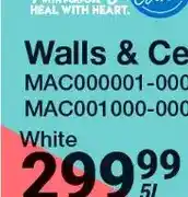 Mica PLASCON MICA WALLS & CEILINGS 5L WHITE offer