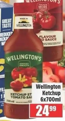Devland Cash And Carry Wellington Ketchup offer