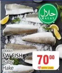 KitKat Cash and Carry FW FISH Baby Hake offer