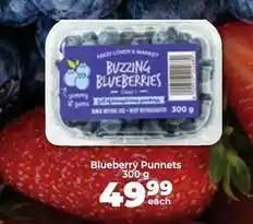 Food Lover's Market Food lover's market - blueberry punnet offer