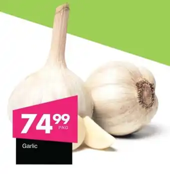 Garlic