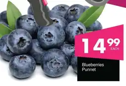 Save Blueberries Punnet offer