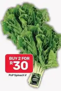 Pick n Pay Spinach offer