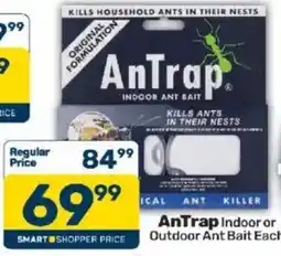 Pick n Pay AnTrap Indoor or Outdoor Ant Bait offer
