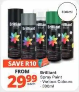 Checkers Hyper Brilliant Spray Paint offer