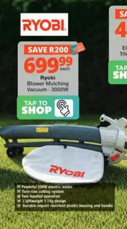 Checkers Hyper Ryobi Blower Mulching Vacuum offer