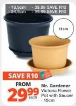 Checkers Hyper Mr. Gardener Victoria Flower Pot with Saucer offer