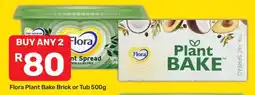 Pick n Pay Flora Plant Bake Brick or Tub 500g offer