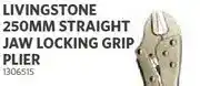 BUCO Livingstone 250mm Straight Jaw Locking Grip Plier offer