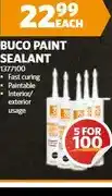 BUCO Buco Paint Sealant offer